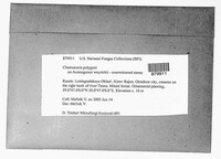 Image Associated With the Occurrence